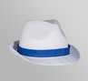 Coloured Ribbon Hat (Trilby style)