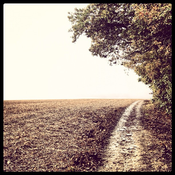 Hockley Field Instagram photo Copyright Solopress 2012
