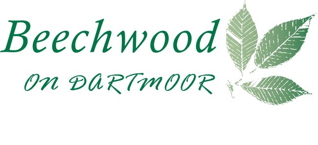Green and white logo for Beechwood Dartmoor