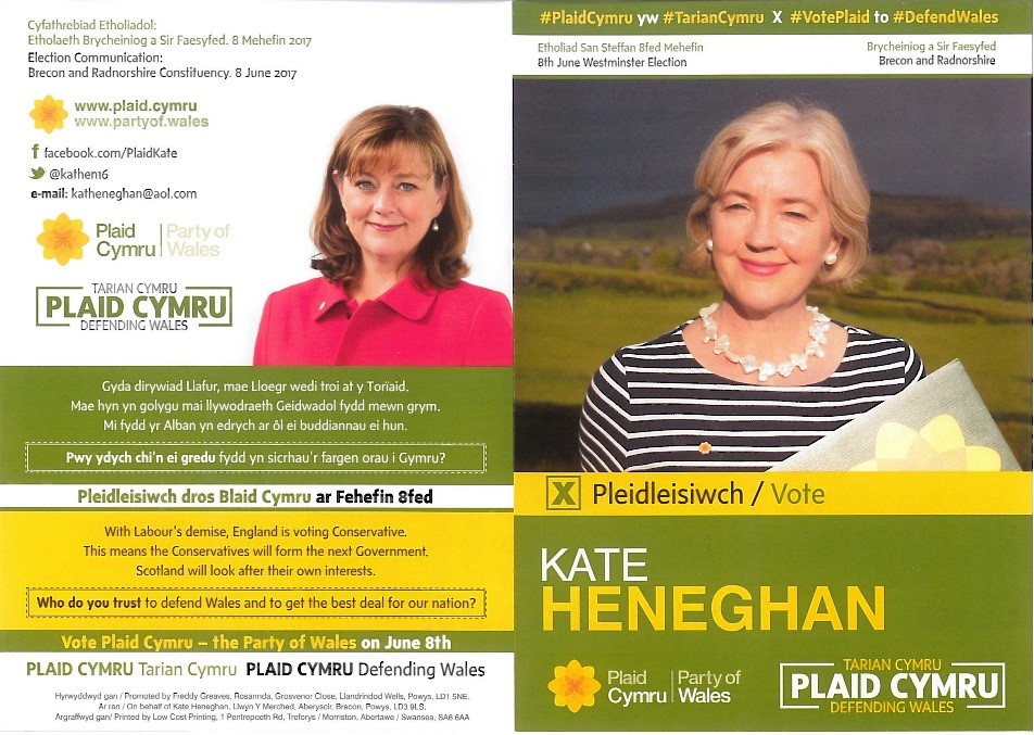 Plaid Cymru Leaflet