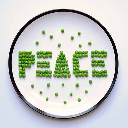 peas-peace-typography-plate-design-inspiration-modern