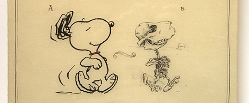 Snoopy from Charlie Brown's humorous skeleton frame