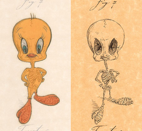 Tweety Bird, without the feathers - bone structure