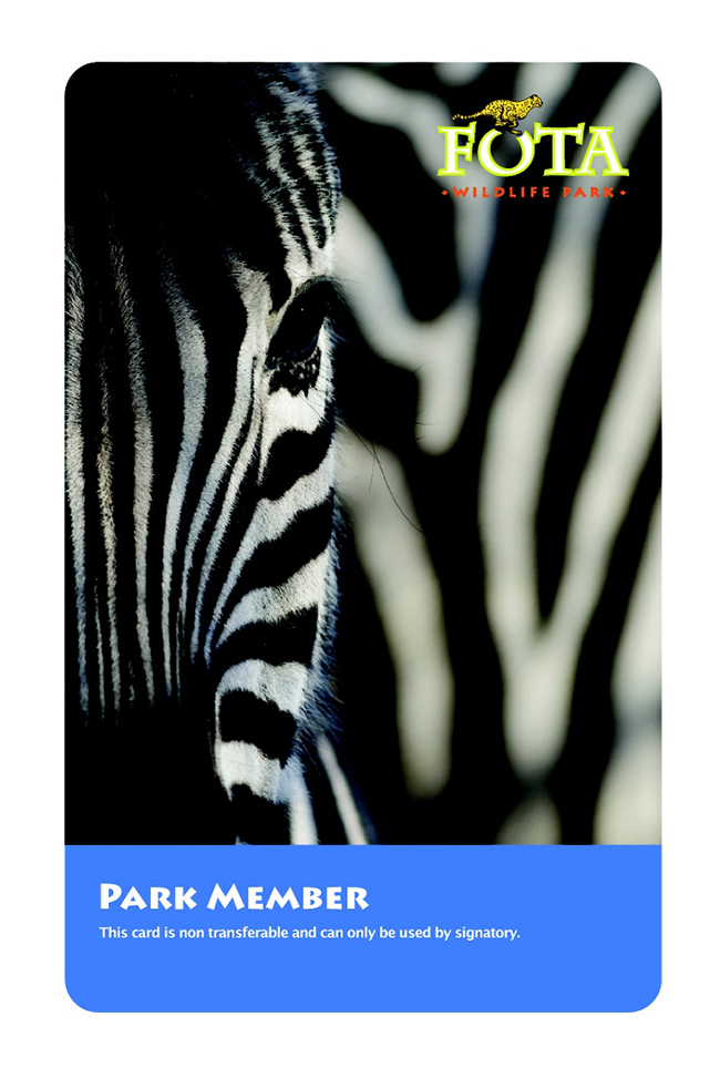 FOTA wildlife park membership card featured a close up of a striking zebra.