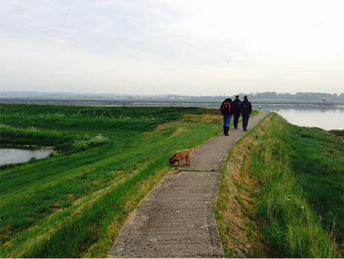 tried-tested-walking-hiking-boots-footpath-countryside-england-essex-estuary-solopress-team-members-dog-pleasent