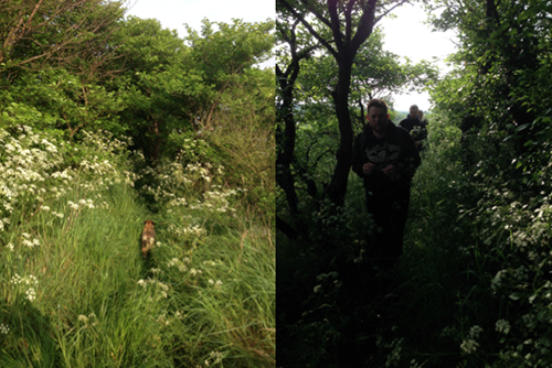 Hiking through the overgrown grasslands and narrow paths