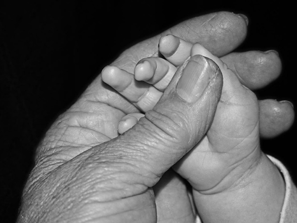 Beautifully moving photograph of two hands - one an older person and one a baby
