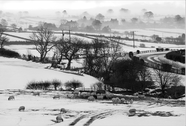Moody and chilling photo of a snowy countryside with a distant mist taken in black and white by photographic society member