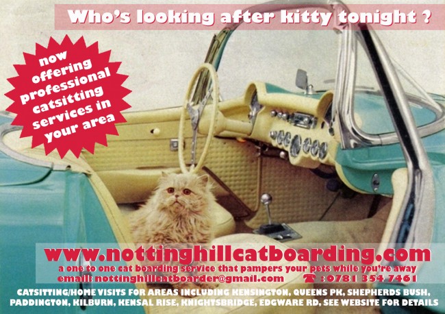 Notting Hill Cat Boarding A6 silk flyers printed by Solopress