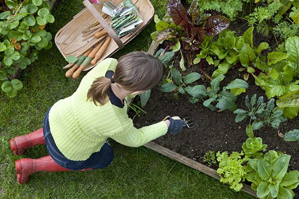 Essential Marketing Tips For Gardeners | Solopress
