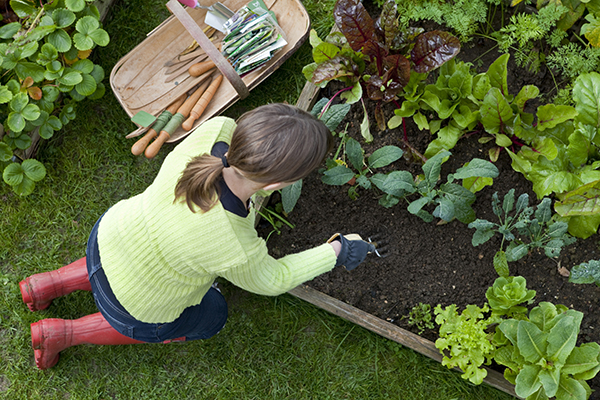 Photographie aérienne d'une femme désherbant un jardin