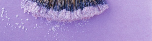Une douce image lilas montrant le bord d'un pinceau applicateur de poudre de maquillage pour le secteur de la beauté mobile.