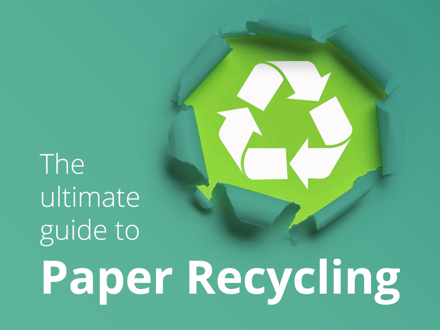 Guia definitivo para a reciclagem de papel