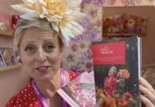 Kundengeschichten: Dahlia Beach Dahlia Beach Kopfbild