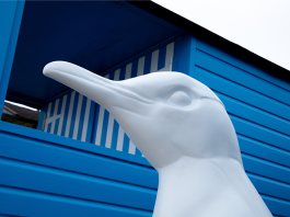 Waddle-On-Sea Header Image