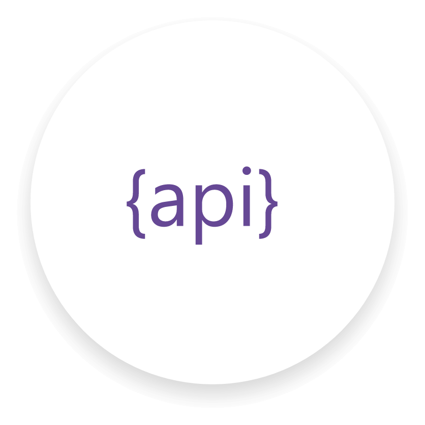 API Icon